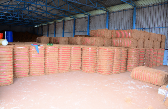 Coco Peat