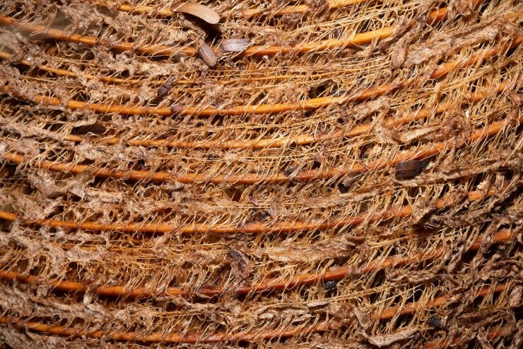Coco Peat